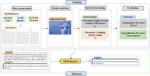 Resource-efficient instruction tuning of large language models for biomedical named entity recognition