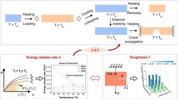 Spontaneous fracture in shape memory polymers: Temperature-activated and constraint-induced fracture from programming