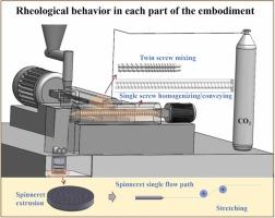 Characteristics of PET in ScCO2 foam spinning process