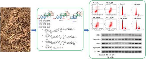 C21 steroidal glycosides from Cynanchum paniculatum (Bunge) Kitagawa: structural elucidation and biological evaluation