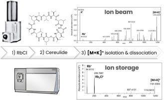 Revealing the unexpected: formal charge exchanges in collisional activation of cereulide ionized molecular species
