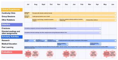 Developing and implementing an obesity medicine fellowship program: Experience at a U.S. academic medical center