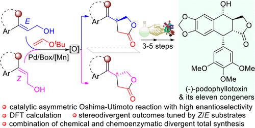 Enantioselective Construction of β-Substituted γ-Lactone through Catalytic Asymmetric Oshima–Utimoto Reaction: Divergent Total Syntheses of (−)-Podophyllotoxin and Its Eleven Congeners