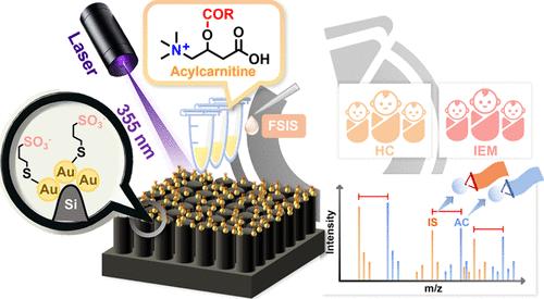 Integrating Electrostatic Adsorption-Laser Desorption/Ionization-MS with a Derivative Full-Spectrum Internal Standard Approach for Acylcarnitine Quantification in Clinical Samples