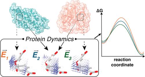 Distinct Electric Fields Enable Common Catalytic Function in Structurally Diverse Enzymes