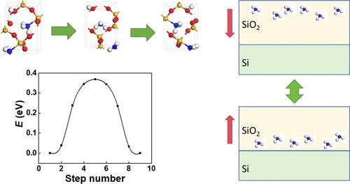 Robust Ferroelectricity in Silicon Dioxide upon Intercalation of Ammonia