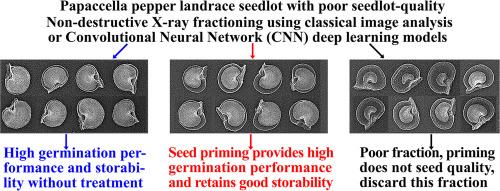 Application of X-ray sorting and priming improves the germination performance of low-quality seed fractions of the Papaccella pepper landrace