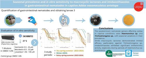 Seasonal prevalence and in vitro sensitivity to macrocyclic lactones and imidazothiazoles in gastrointestinal nematodes in captive Addax nasomaculatus antelope