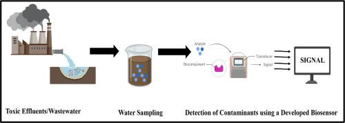 A review on biosensor approaches for the detection of hazardous elements in water