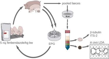 Faecal egg count reduction test, deep amplicon sequencing of isotype-1 β-tubulin gene and in ovo larval development assay reveal susceptibility to benzimidazoles of porcine nematodes Oesophagostomum spp. and Ascaris suum in outdoor-reared pigs in Germany