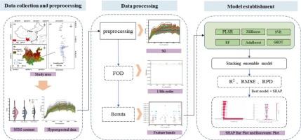 Hyperspectral inversion of organic matter content in agricultural soils based on fractional-order derivative and ensemble learning