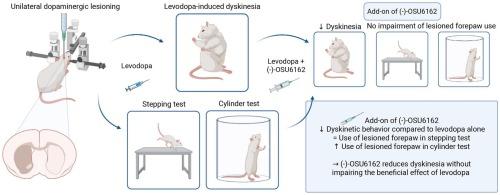 The dopamine stabilizer (-)-OSU6162 attenuates levodopa-induced dyskinesia in the unilateral 6-hydroxydopamine rat model of Parkinson’s disease