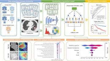 Development of a multi-feature predictive model for risk stratification in stage IB-IIA non-small cell lung cancer: a multicenter analysis