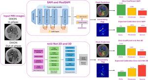 Exploring foundation models for multi-class muscle segmentation in MR images of neuromuscular disorders: A comparative analysis of accuracy and uncertainty
