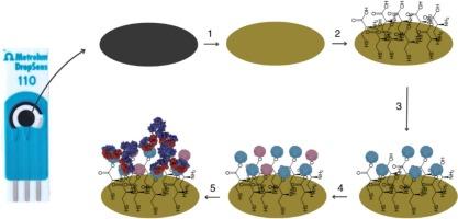 The assessment of interaction kinetics between specific monoclonal antibody and immobilized SARS-CoV-2 nucleoprotein