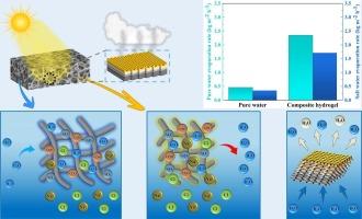 Carbon nanotube-enhanced photothermal conversion thermosensitive hydrogel for solar water evaporation: Preparation and performance