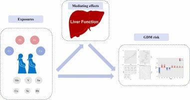 Albumin mediates the association between maternal exposure to multiple metals and gestational diabetes mellitus: Findings from the Guangxi Birth Cohort Study