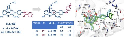 Design, synthesis, and biological activity of novel para-substituted phenylamino and phenyl derivatives of northebaine as selective delta opioid receptor agonists