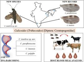 New species, country records, DNA barcoding and host blood meal analysis of some Indian species of Culicoides Latreille subgenus Trithecoides Wirth and Hubert (Diptera: Ceratopogonidae)
