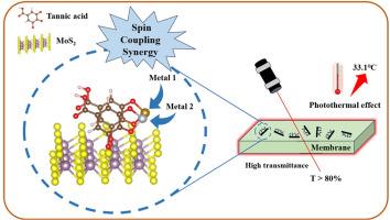 The bimetallic synergistic enhancement of photothermal properties in tannic acid-grafted MoS2