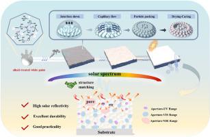 Synthesis of high solar reflectance hierarchical porous thermal control coating via alkali-induced assembly for spacecraft