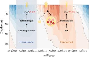 Divergent mechanisms govern N2O emissions from Qinghai-Tibet Plateau alpine meadows in freeze versus thaw periods