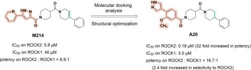 Discovery of A20 with 4-(2-methoxyphenyl)-1H-pyrazole scaffold as a potent and selective ROCK2 inhibitor