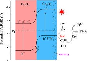 Construction of highly efficient heterojunction photoanode Vo-Co3O4/Fe2O3 rich in oxygen vacancies for photoelectrochemical water splitting