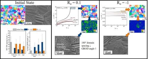 High cycle fatigue behavior and magnetic domain structure of non-oriented and grain-oriented electrical steels at Rσ = 0.1 and Rσ = −1