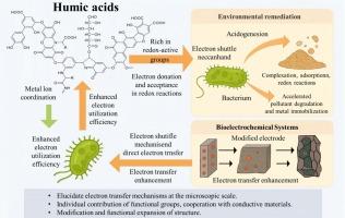 A comprehensive review on nature-inspired redox systems based on humic acids: Bridging microbial electron transfer and high-performance supercapacitors