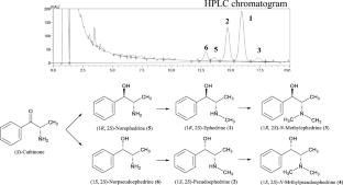 Chemical and pharmaceutical evaluation of roasted Ephedra herba and elucidation of the health hazards caused by white smoke generated during processing