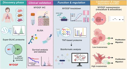 Myeloid-Derived Growth Factor-Regulated Oncogenesis in Lung Adenocarcinoma Is Associated with EGFR Status and Cancer Aggressiveness