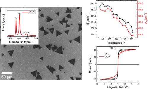 Room-Temperature Ferromagnetism and Nonlinear Phonon Dynamics in Atomically Thin 2H-CrS2 Nanosheets: Implications for Spintronics Applications