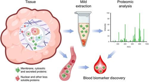 Tissue Mild Extraction Enriches Membrane, Cytoplasmic, and Secreted Proteomes for Biomarker Discovery