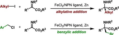 Iron-Catalyzed Asymmetric Cross-Electrophile Alkylation of Imines
