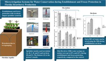 Micro-irrigation systems for water conservation during establishment and freeze protection in Florida strawberry production