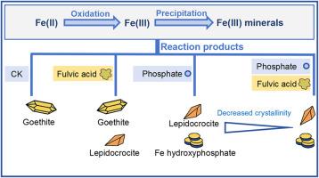 Combined effects of fulvic acid and phosphate on FeII oxidation and Fe precipitation