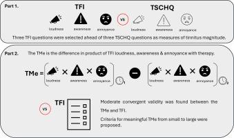 An exploratory analysis of the tinnitus magnitude equation (TMe). An adaptation level theory based measure of tinnitus therapy outcome
