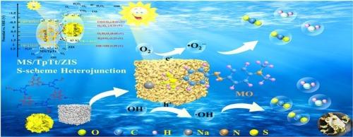Construction of visible light-driven ternary S-scheme melamine sponge MS/TpTt/ZIS heterojunction photocatalysts for enhanced photocatalytic pollutant removal and hydrogen evolution