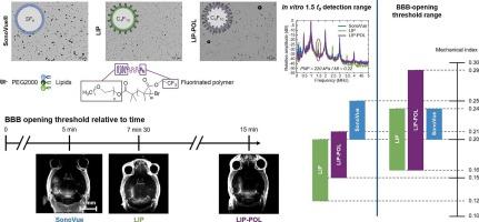 Hybrid lipidic and fluorinated polymer microbubbles for blood-brain barrier opening: a comparative study with SonoVue