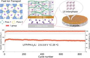 Dual-channel MOF enabling high-flux Li+ conduction and in situ LiI-rich SEI for high-performance solid-state lithium metal batteries