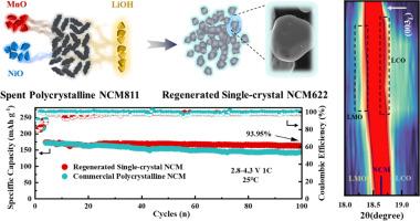 Homogenizing phase–component regeneration of spent NCM811 into single-crystal NCM622 with enhanced structural and electrochemical stability