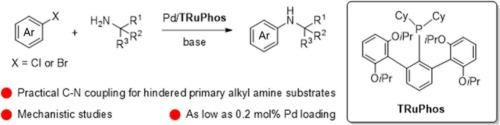 The terphenyl phosphine TRuPhos: a novel and efficient ligand for the palladium-catalyzed arylation of hindered primary alkyl amines with mechanism clarification