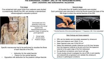 The central dorsal component of the dorsoradial ligament of the trapeziometacarpal joint: Cadaveric and sonographic validation