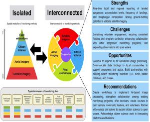 Assessing the interconnectivity across complex dimensions of monitoring pelagic species of Sargassum and the role of citizen science