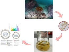 Genomic complexity and evolutionary diversification of a novel cyanobacterium from coral reef ecosystems