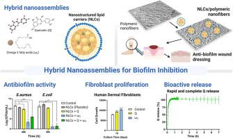 Quercetin and omega-3 fatty acids-loaded lipid hybrid nanoassemblies as promising antimicrobial biofilm strategies