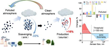 Unveiling the dual role of rainfall in governing ambient aerosol particles:From washout-dominated scavenging to production dynamics