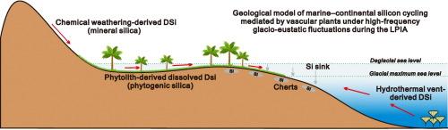 Enhanced terrestrial biogenic silica flux to platform cherts in marine–continental transition zones: Evidence from the Carboniferous succession of the eastern Qaidam Basin