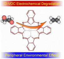 Peripheral environmental effect for the electrochemical reduction of 1,2-dichloroethane over a single Co–N4 site